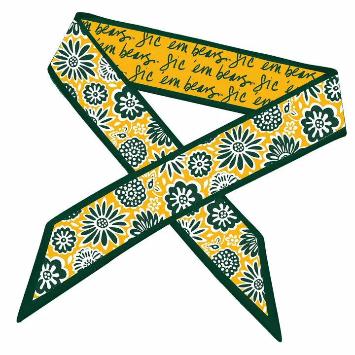 Baylor Skinny Scarf