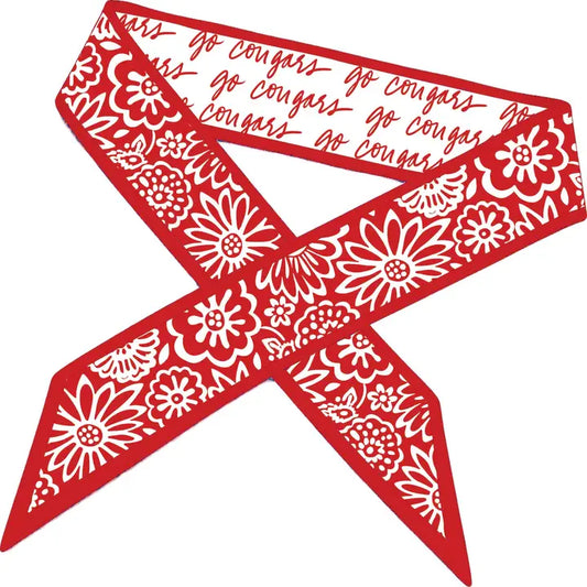 U of H Skinny Scarf